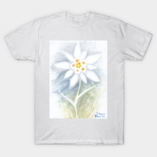 Leontopodium nivale or the  edelweiss flower T-Shirt